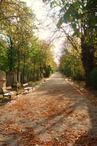 Autumn in Vienna Sankt Marxer Friedhof