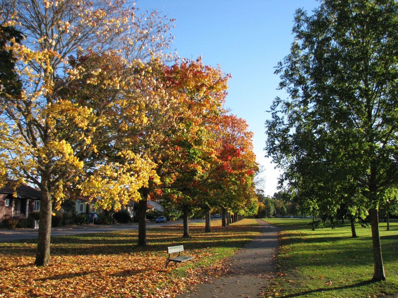 Coffee, Cake and Good Company