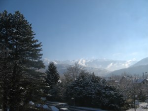 A view from my window