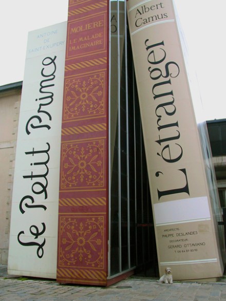 Oui, ça c'est un petit chien