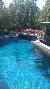 Vancouver aquarium
