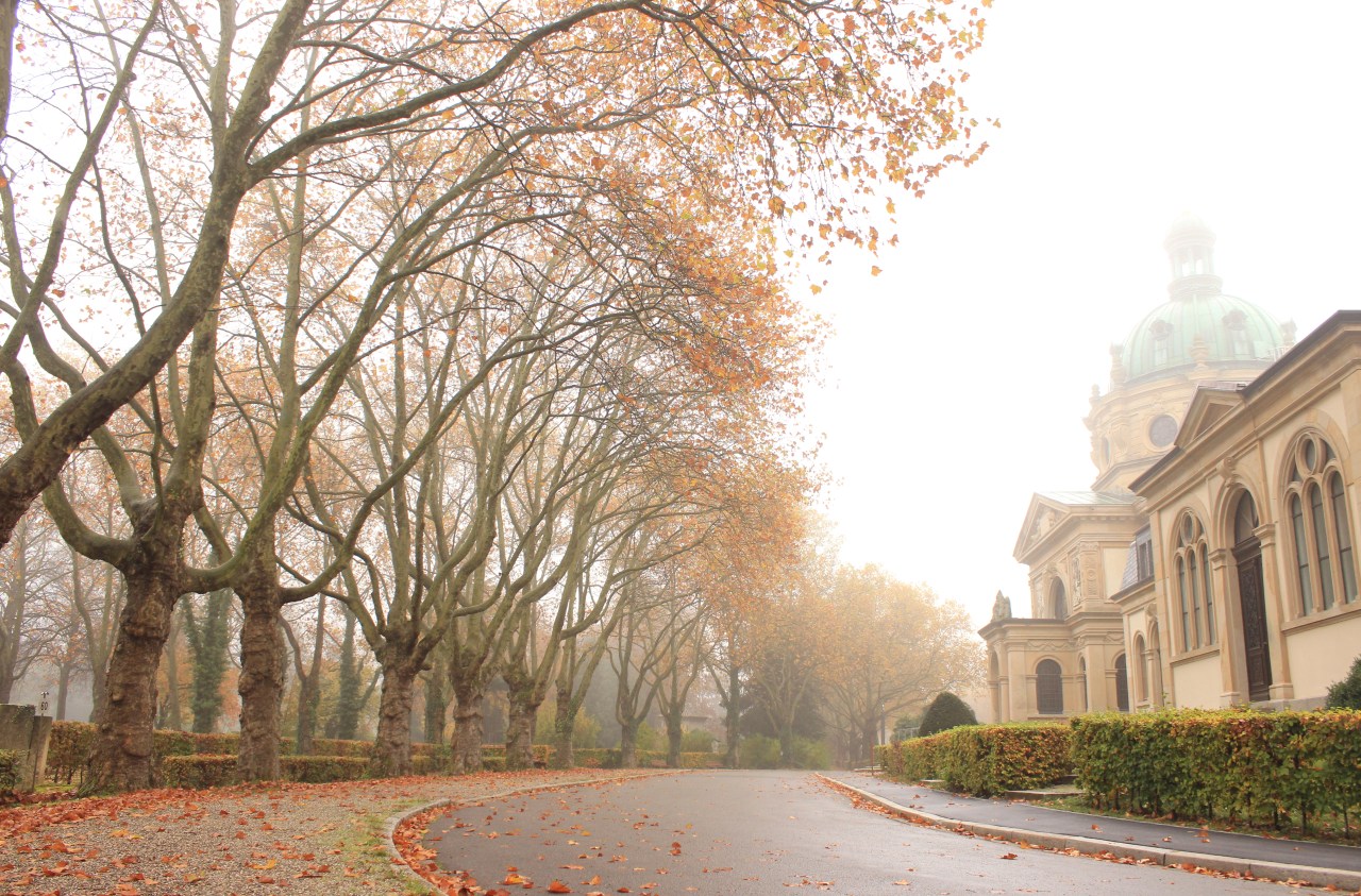 Erasmus Exchange in Freiburg. Part&nbsp;VI