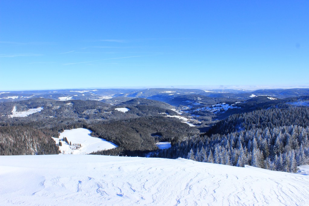 View from Feldberg