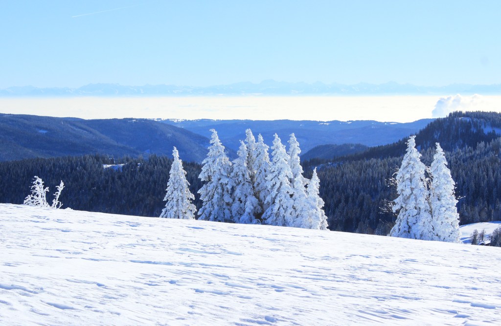 Alps in the distance seen from Feldberg