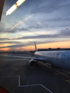 1396691_10153493503846869_621266568_n