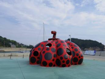 11091424_10200840273807273_8240228424955740702_n