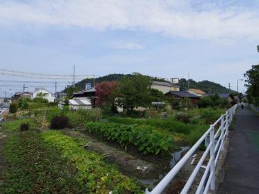 11898858_10200840273487265_7547614613330638984_n