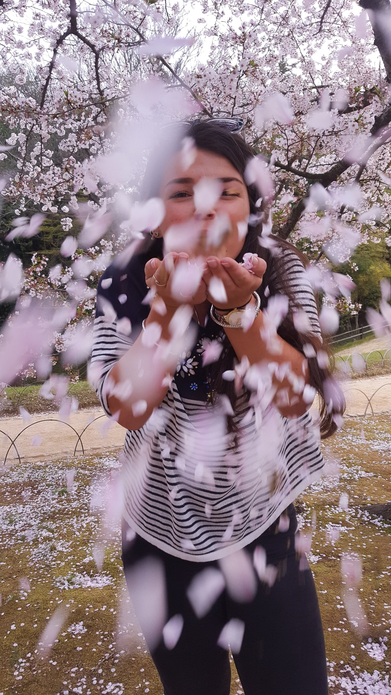 A second a day in&nbsp;Japan