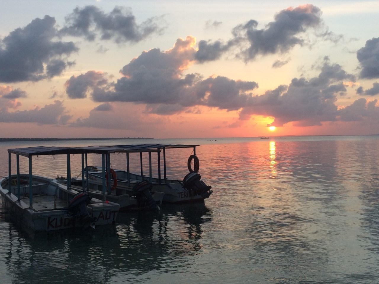 Hoga Island 2018-In the midst of the Coral&nbsp;Triangle