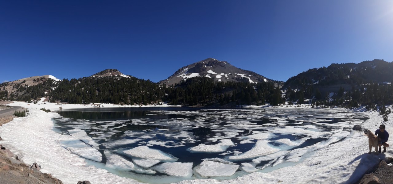 A VIP in Lassen Volcanic National Park,&nbsp;USA