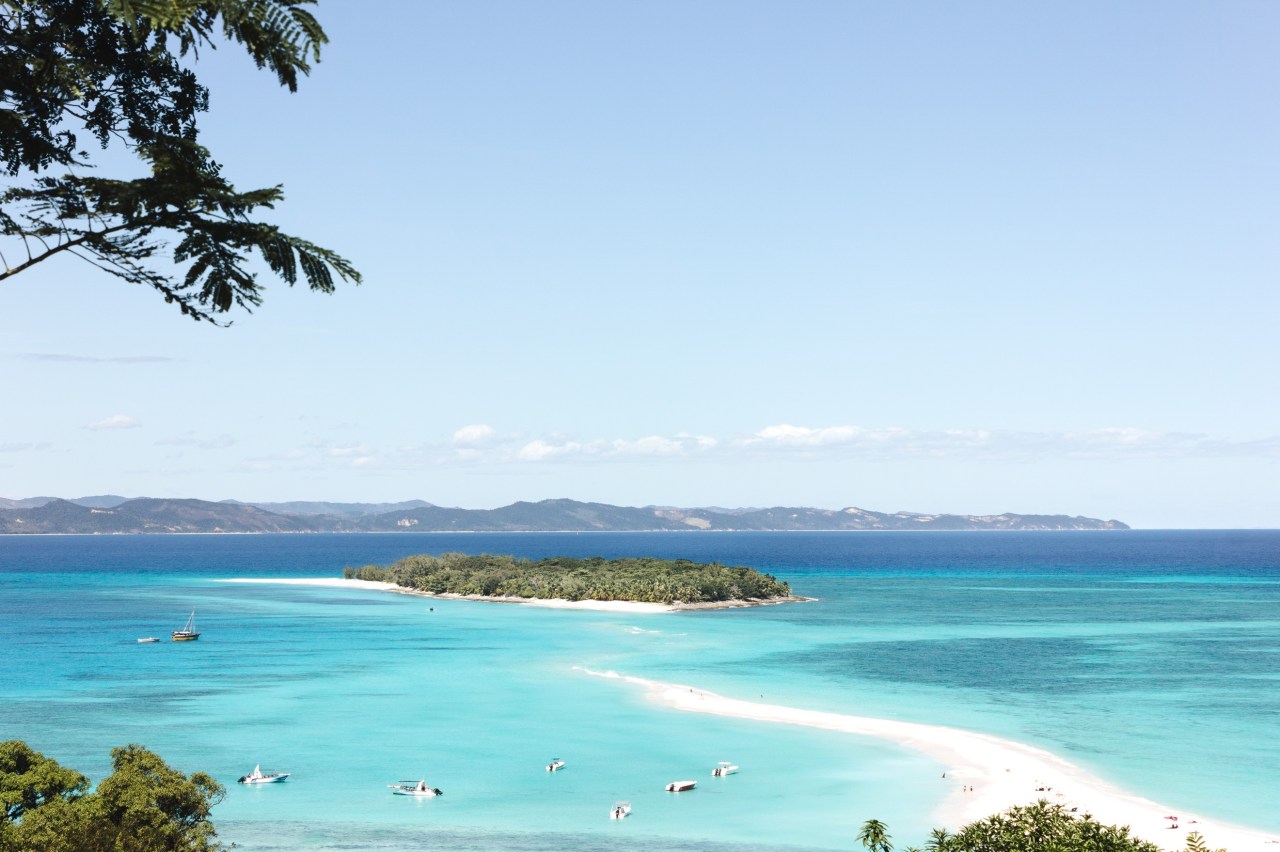 Snake Hunting in&nbsp;Madagascar
