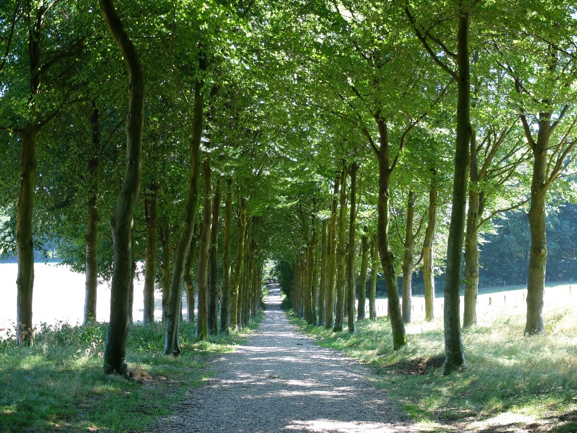 Putting the political into ecology: A week’s PhD summer school in the&nbsp;Netherlands