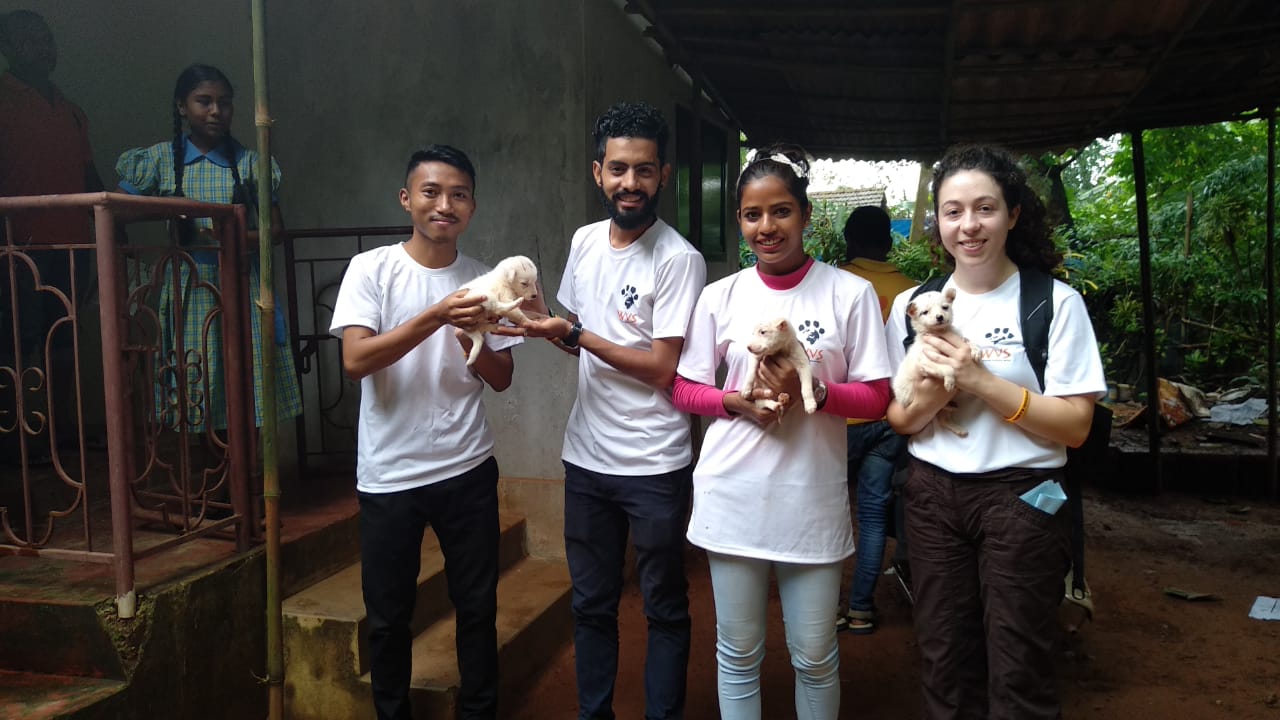 864d0e14-1dbf-44ce-81e7-54b32b57f78b