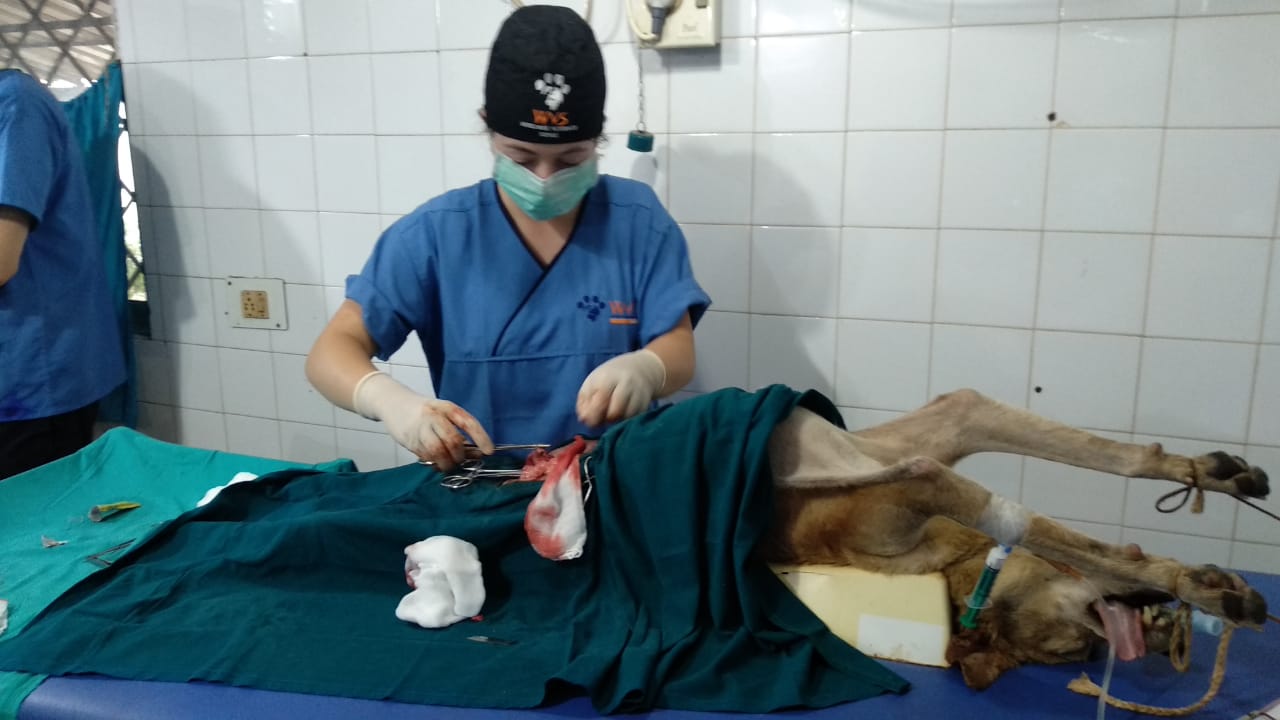 b6da373e-4615-4ff9-afd4-d73dd0533edc