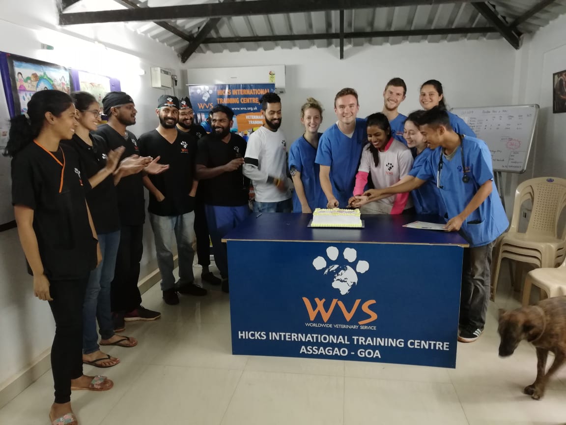 d69c47bb-1232-4c63-a248-ea90bb8c5502