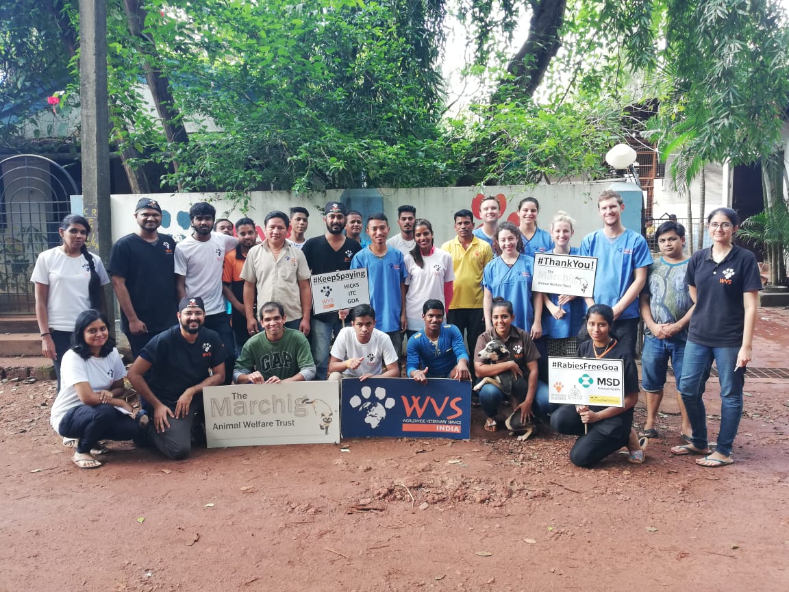 Working with WVS in India