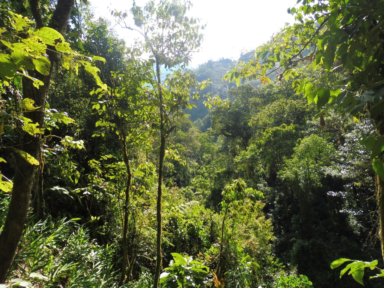 Sustainable Development Project in&nbsp;Peru