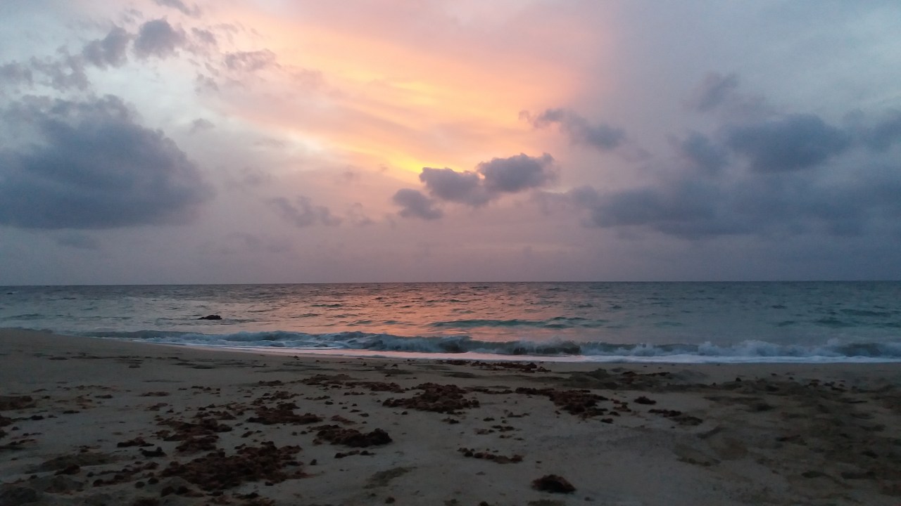 Conservation Volunteering in Sal, Cape&nbsp;Verde