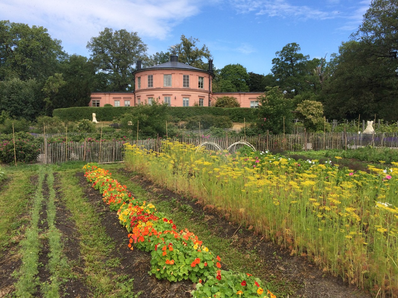 IJCAI-ECAI-18 in Stockholm