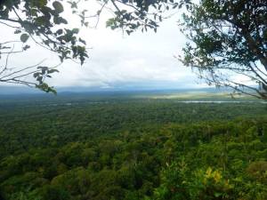 fb_img_15327919614852