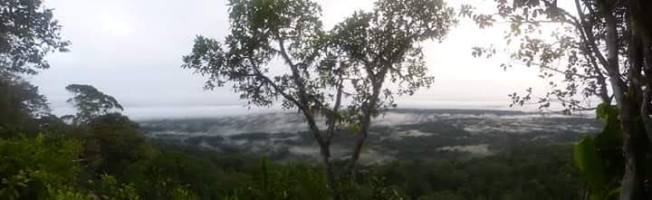 fb_img_1532791981228