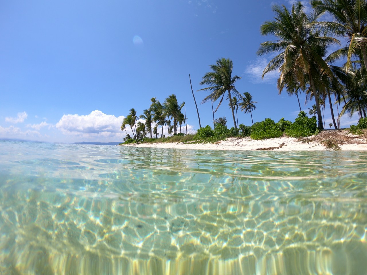 Marine Research in the Coral Triangle