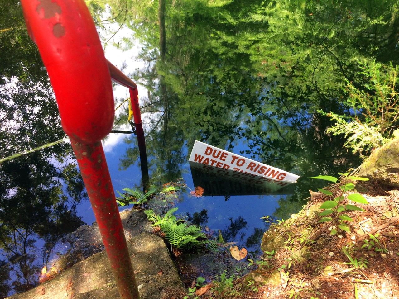 Long Hot Summer: Climate Change in the&nbsp;USA