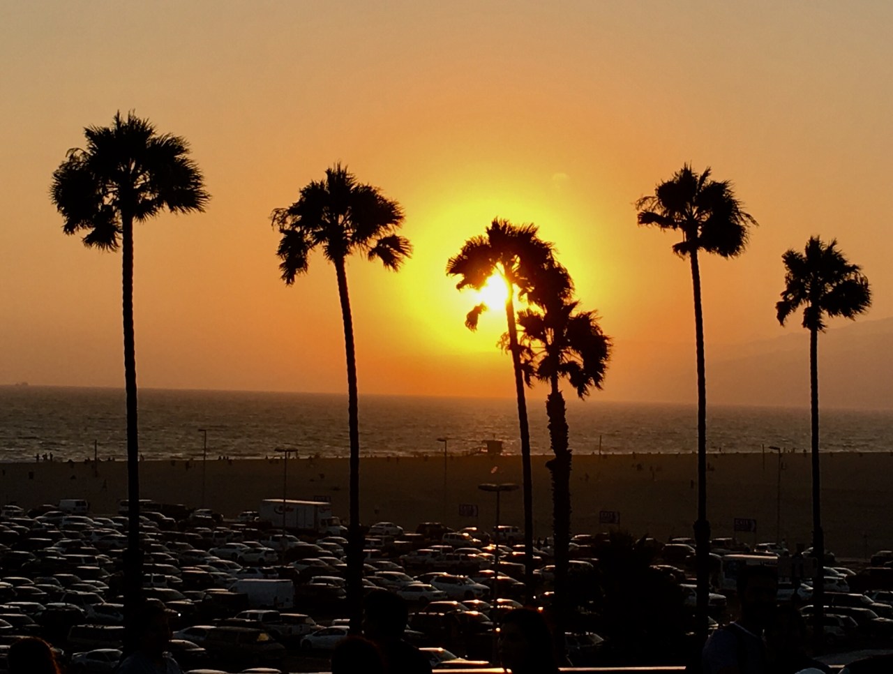 United with fellow scientists from around the world in Los Angeles and New York&nbsp;City