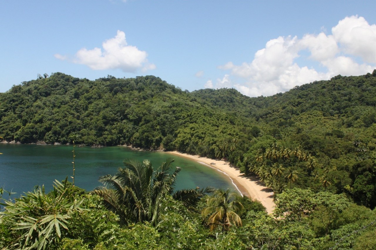 Zoological research, Trinidad