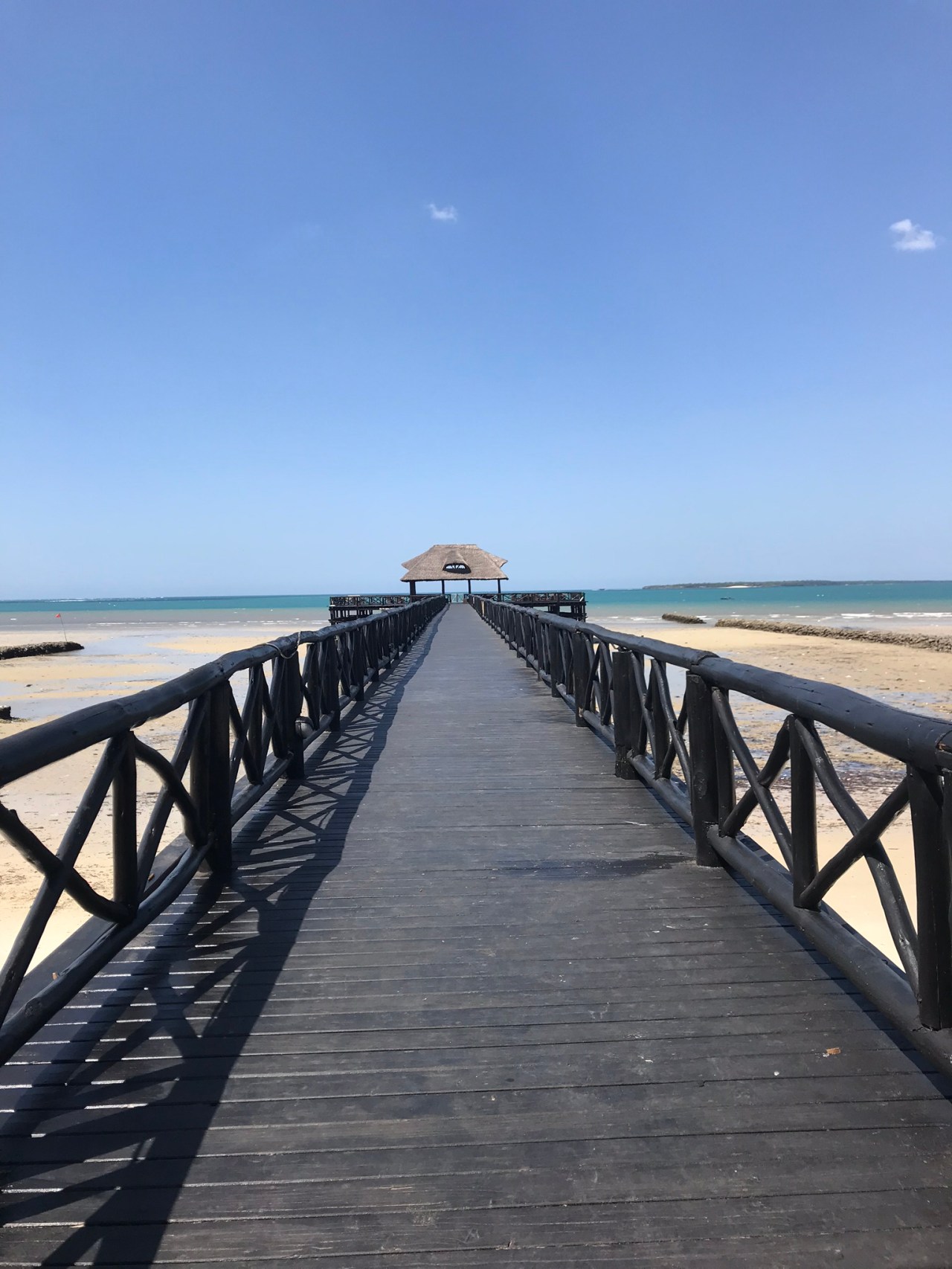 Nursing Clinical Elective: Tanzania