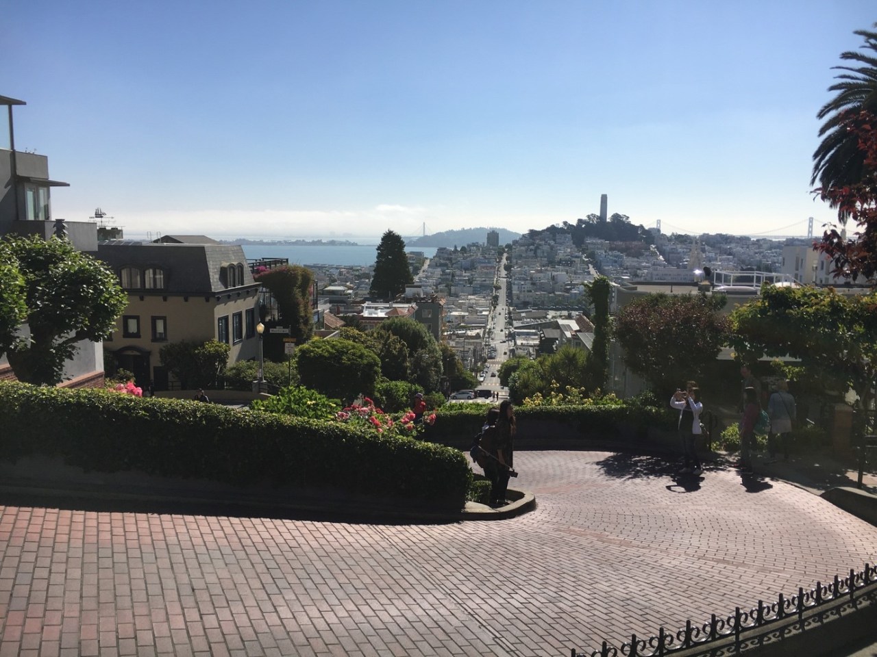 Science in San Francisco