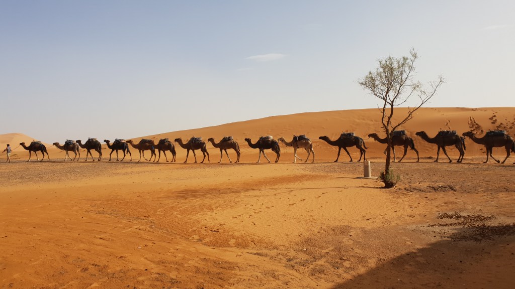 Made in Morocco