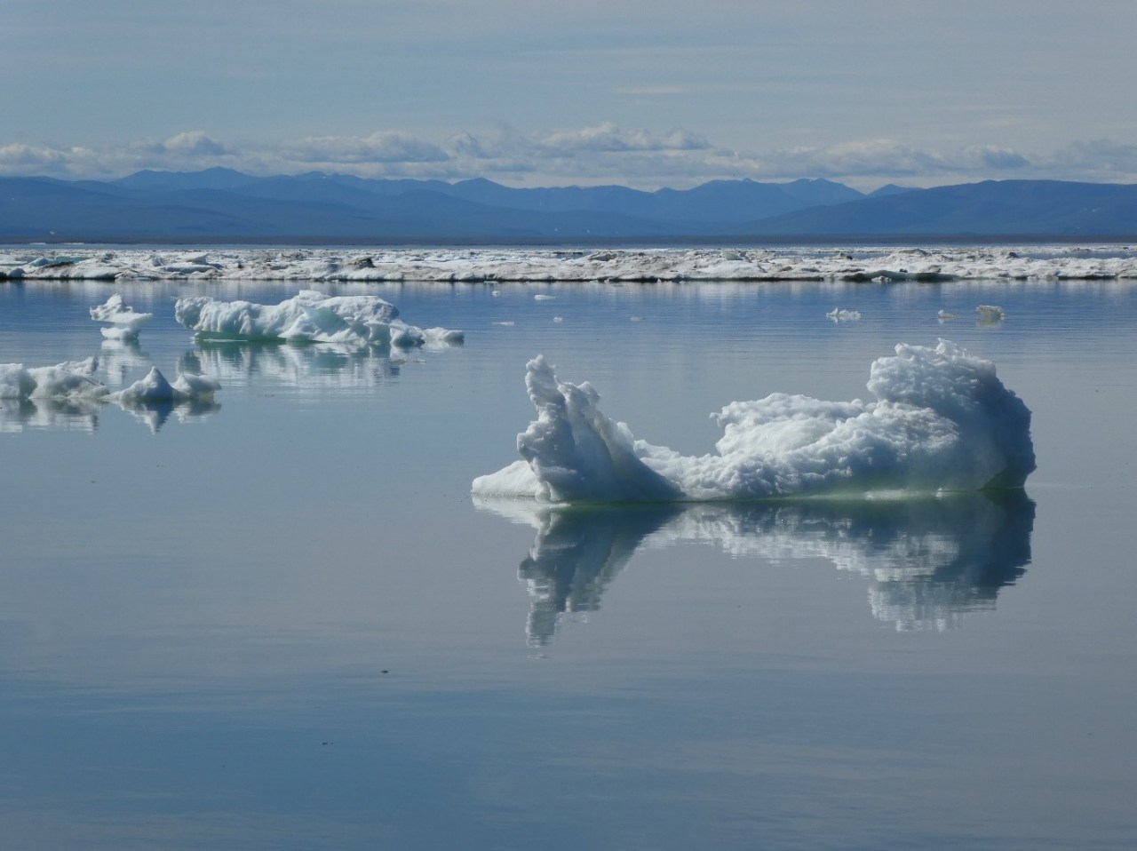 Facing climate change in the Canadian Arctic
