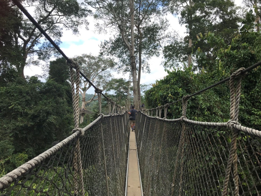 Nursing Experience in Cape Coast,&nbsp;Ghana