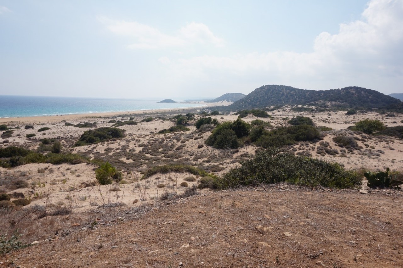 Contributing to Conservation of Sea Turtles in North Cyprus