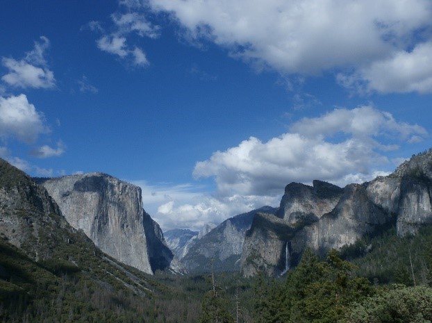 Amplitudes Summer School in California