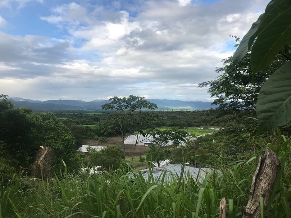 Volunteering in Honduras with Medical&nbsp;Brigades!