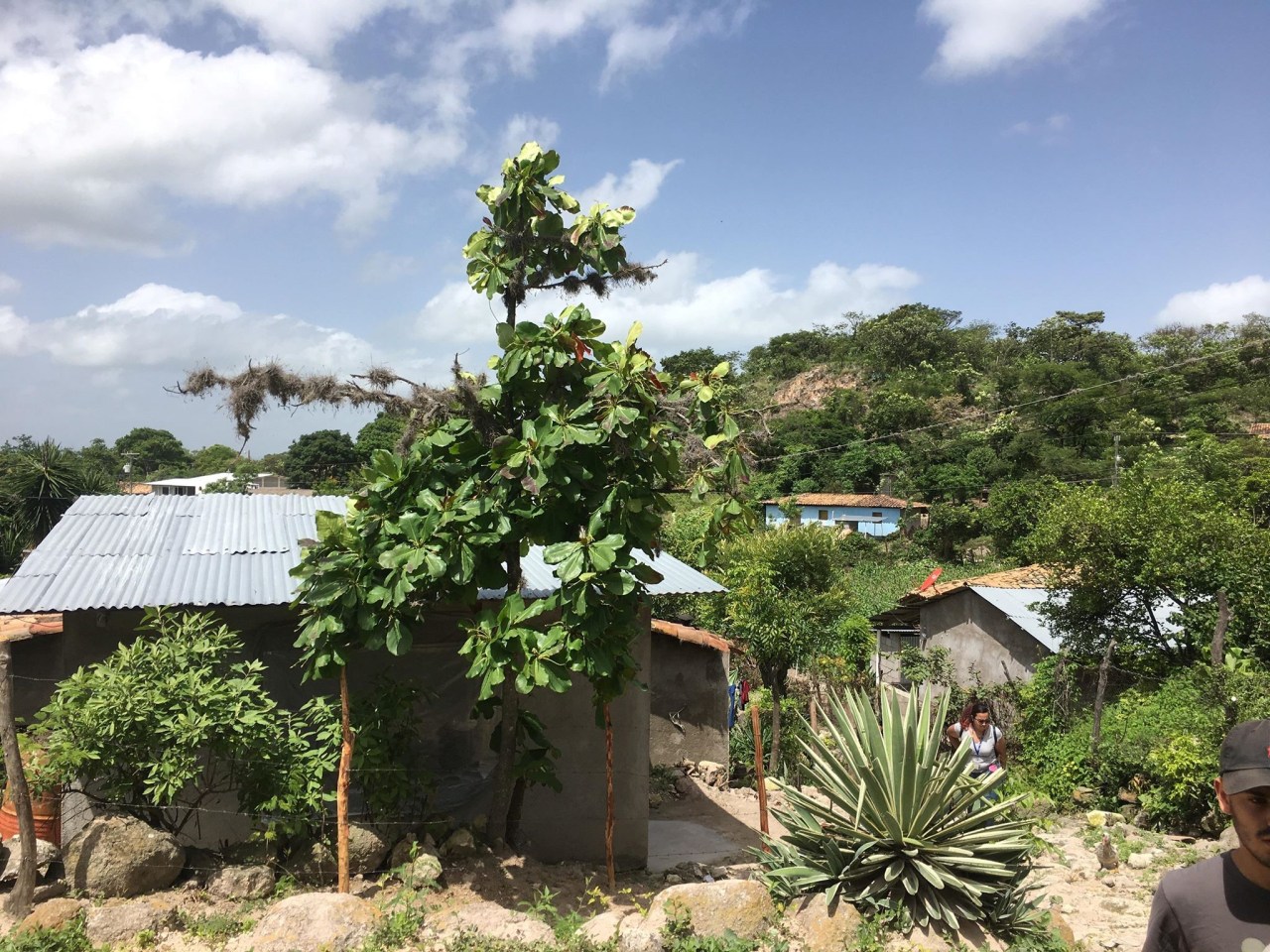 Legal Empowerment in&nbsp;Honduras