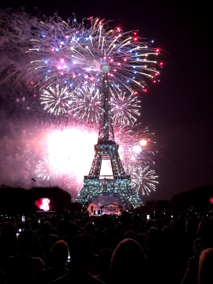 Research Project at Institut Pasteur&nbsp;Paris