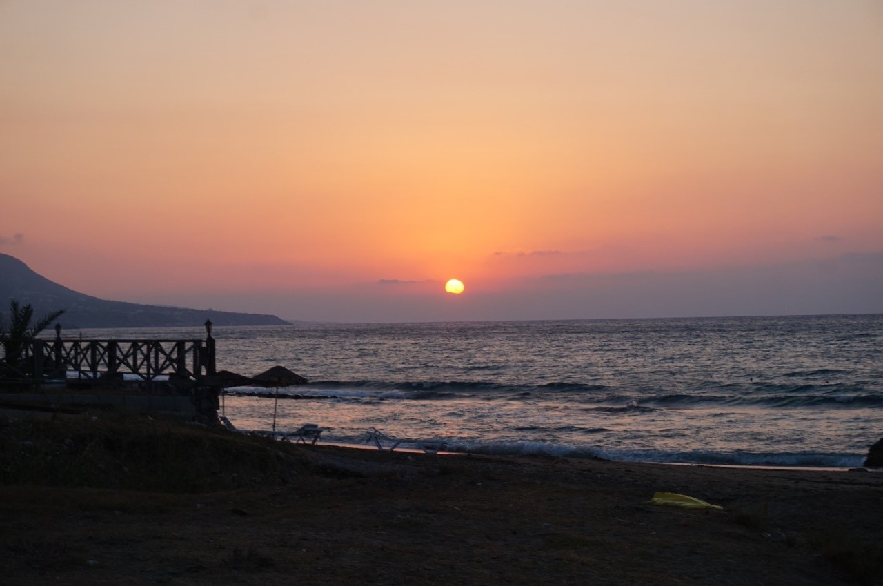 Investigating the Protection Cages used on the Sea Turtle Nests in North Cyprus