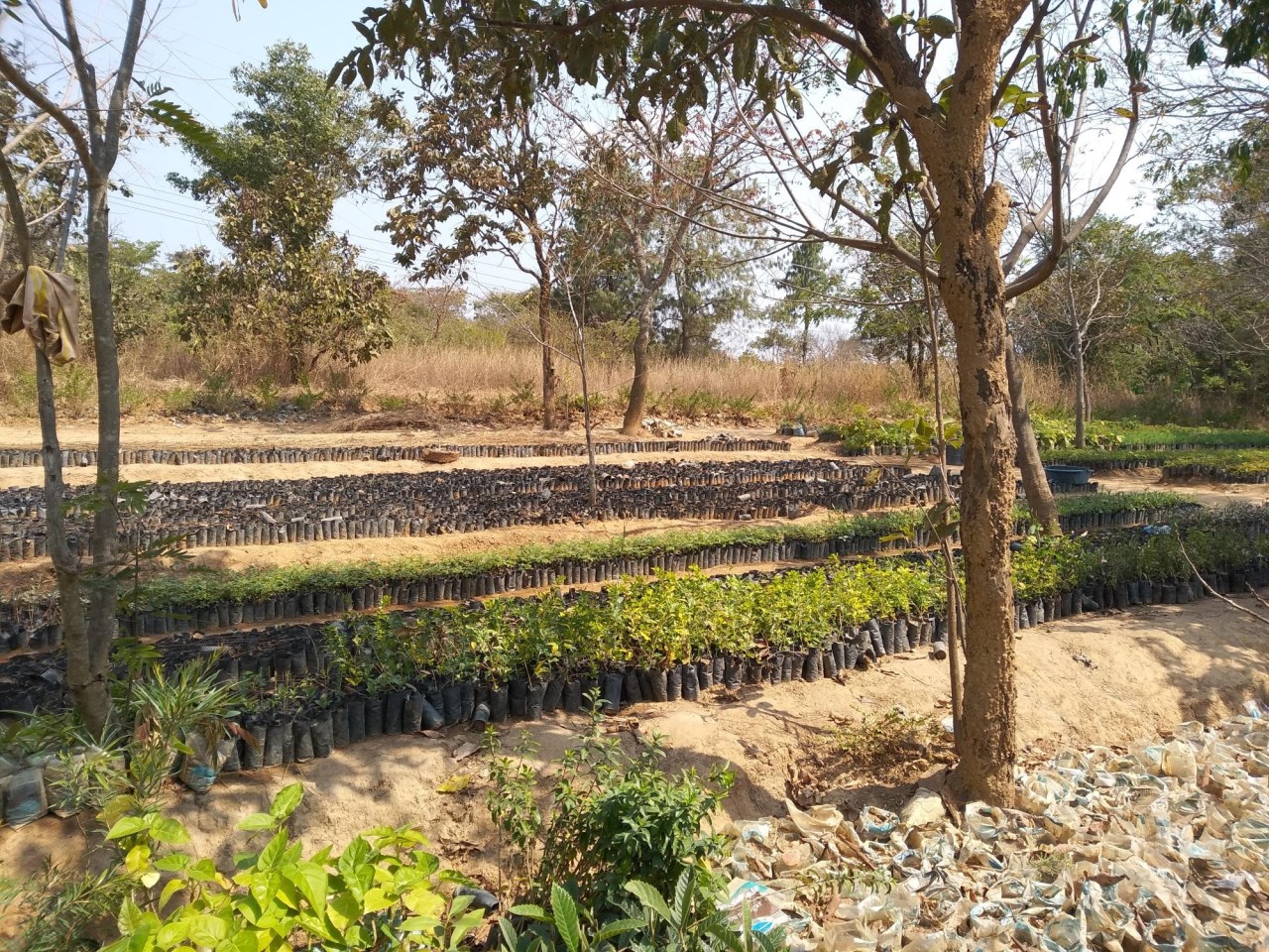 Sustainable project in South-Western Tanzania