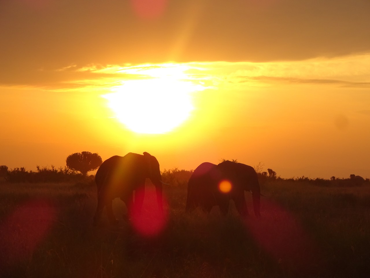 First Aid Training in Fort Portal,&nbsp;Uganda