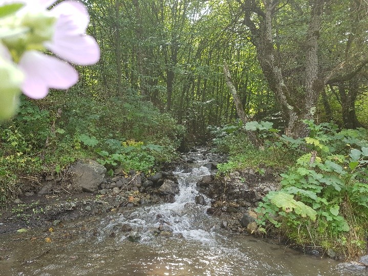 Looking at how drinking water and wastewater is treated in Armenia