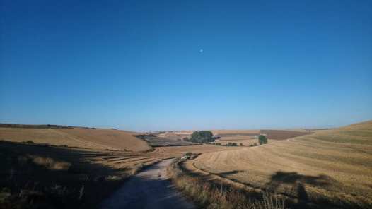 39042061_10209493958504440_5489489441519042560_n