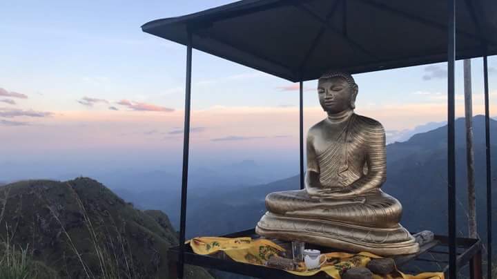 SLV GLOBAL Volunteering in Sri Lanka