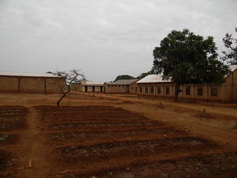 Fighting Deforestation in&nbsp;Tanzania