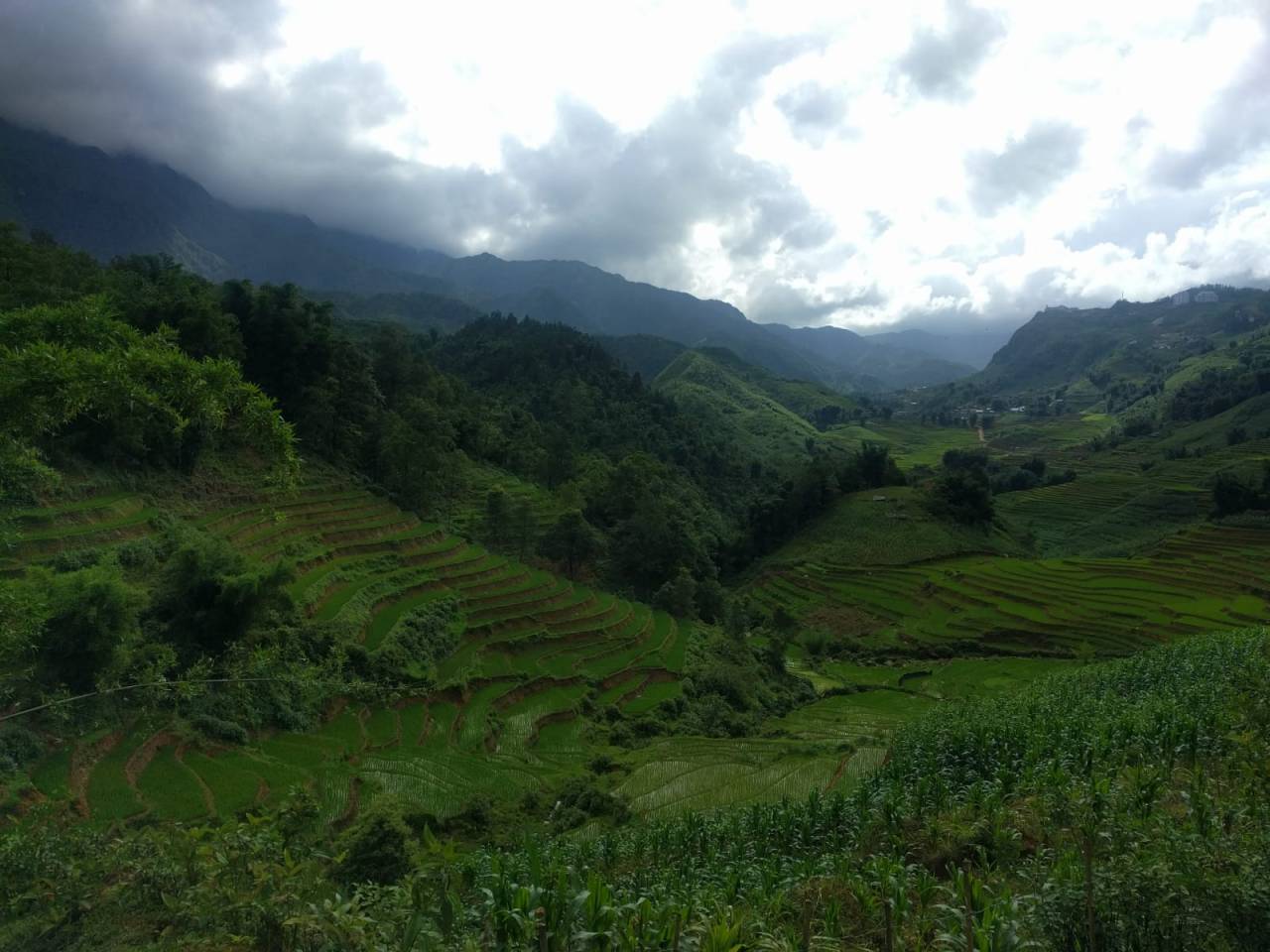 Volunteering in Vietnam