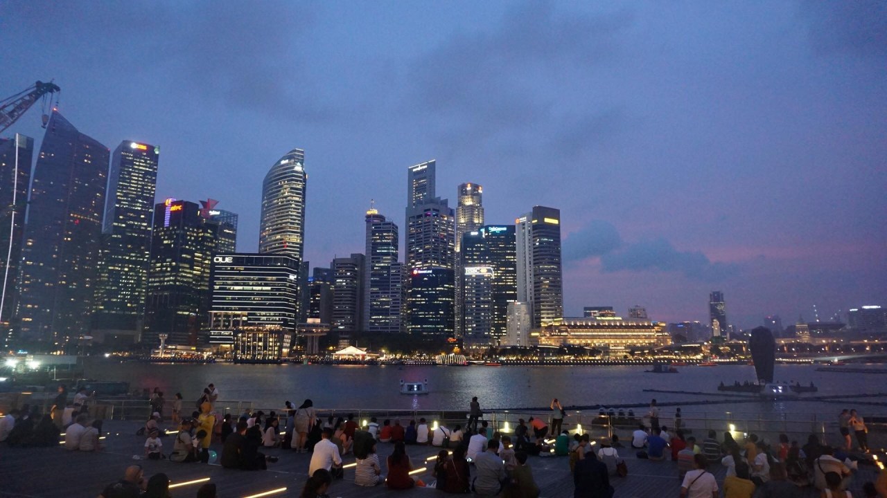 A “Crazy-Rich” Experience: My Attendance to the IFLA World Congress at&nbsp;Singapore