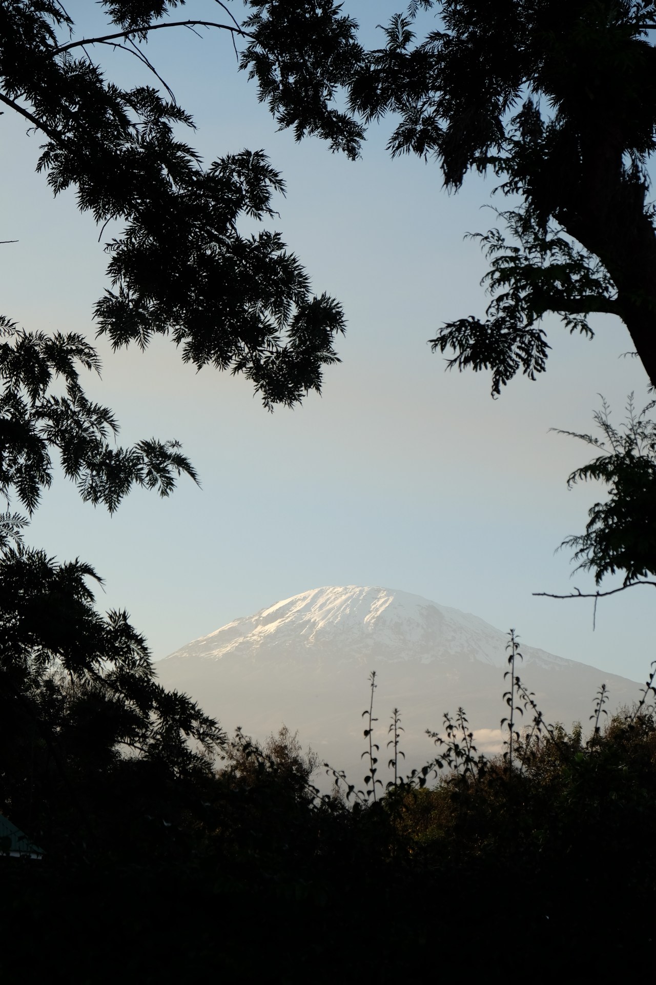 A fruitful summer full of rewarding&nbsp;experiences