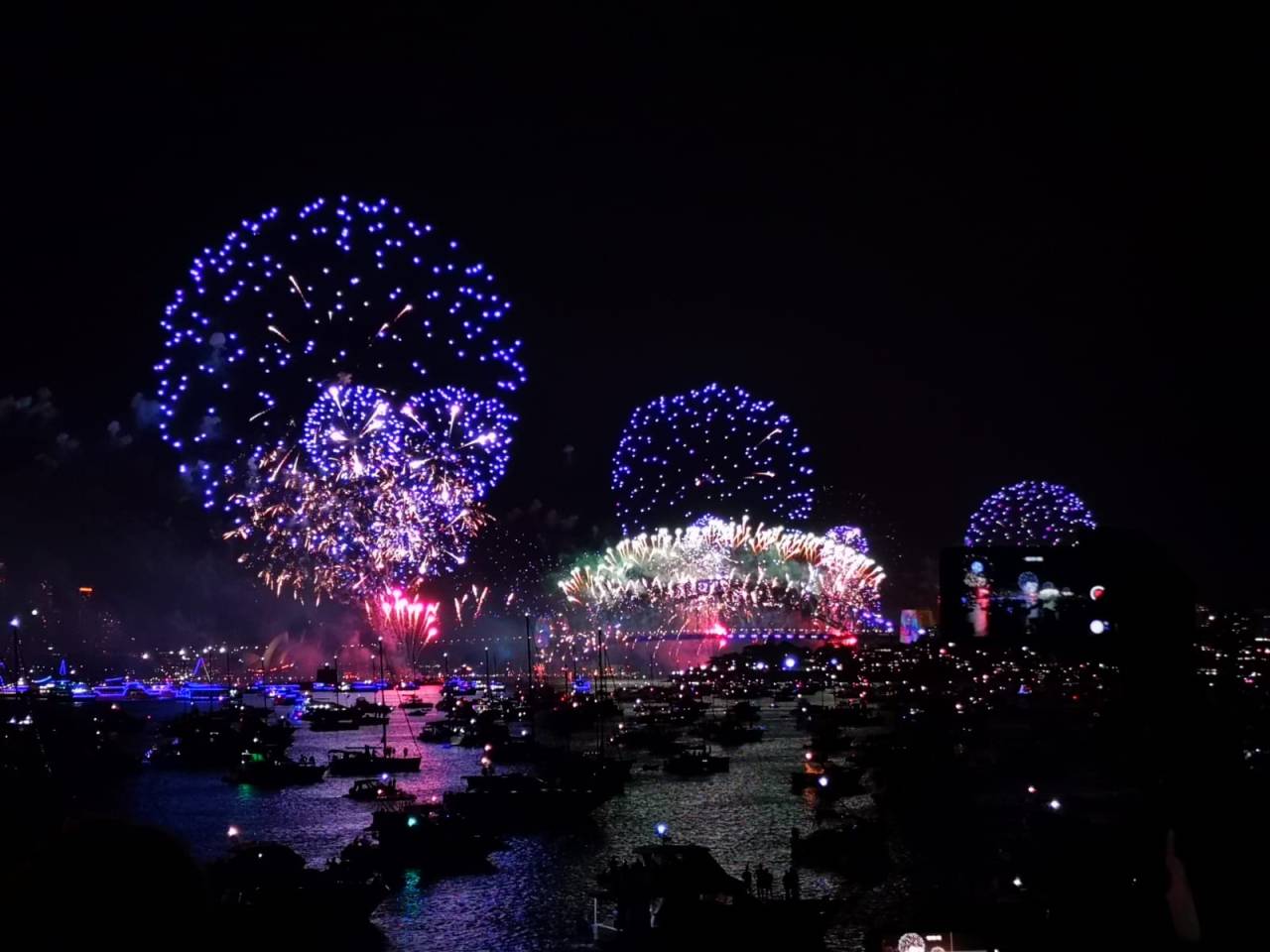 How To Survive, Thrive, and Feel Alive in&nbsp;Sydney